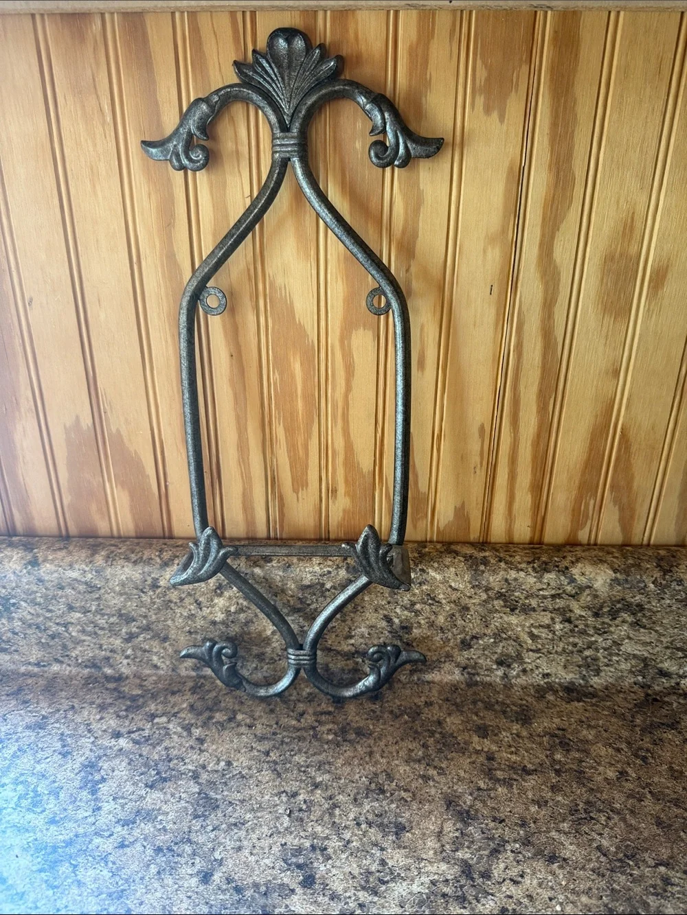 Pier 1 Ornate Metal Wall Hook in Silver and Black Finish